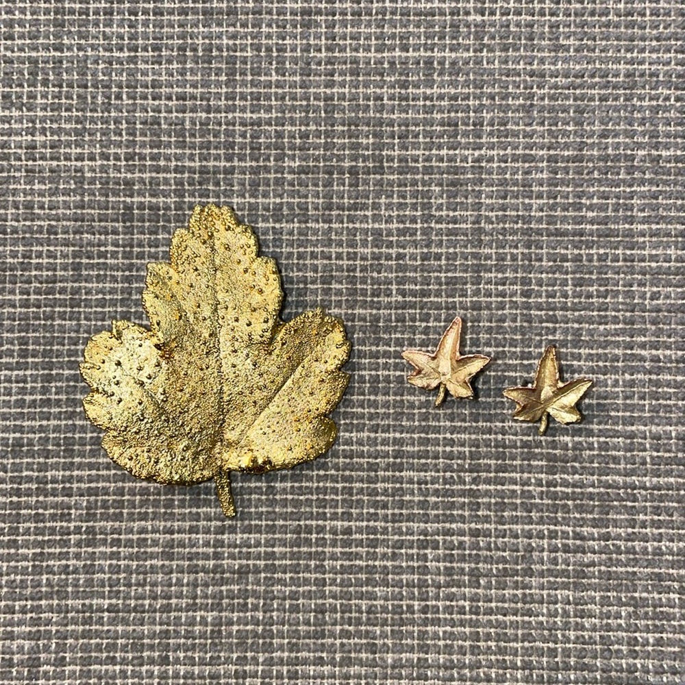 Gold Colored Leaf Brooch and Earrings